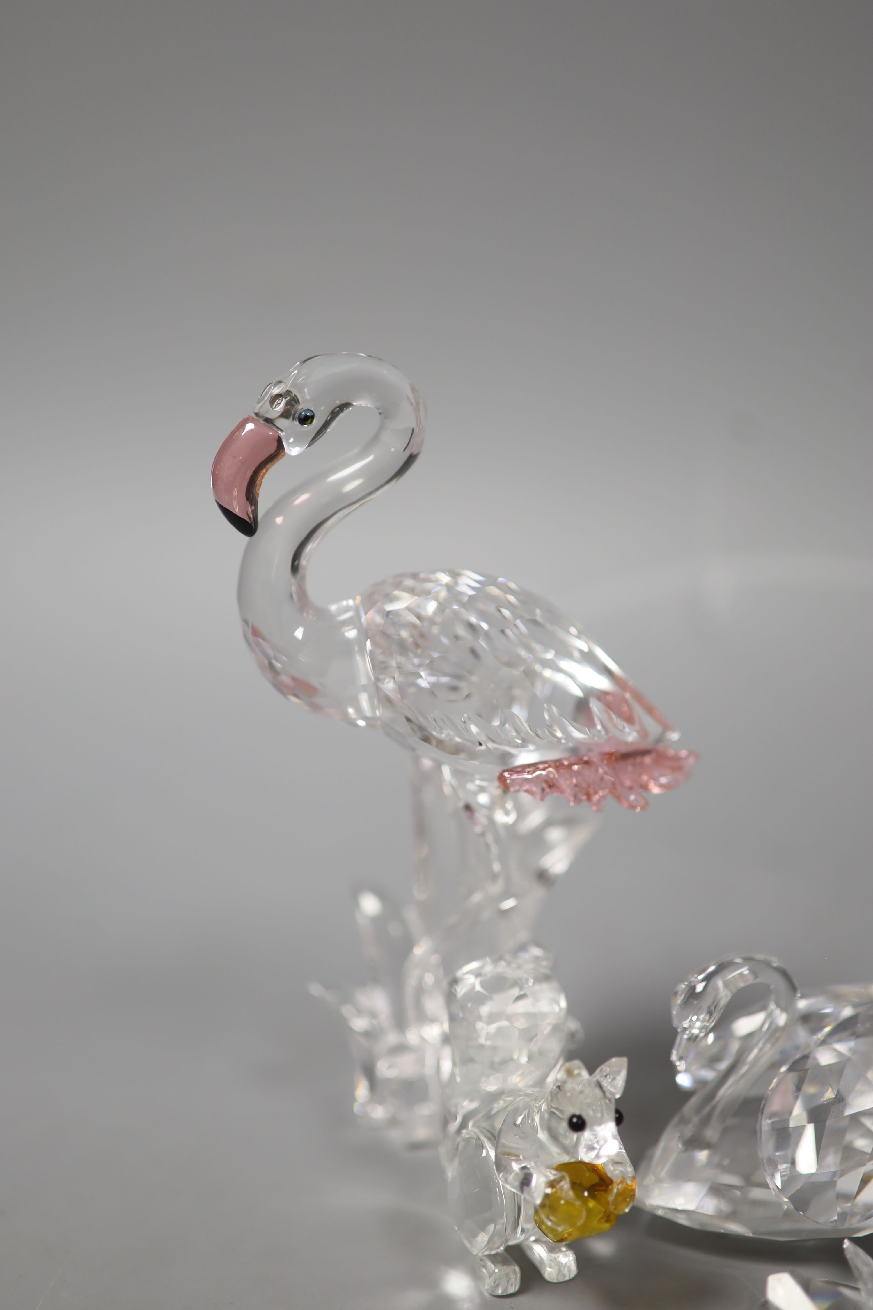 Twelve Swarovski crystals including Flamingo and Lovebirds